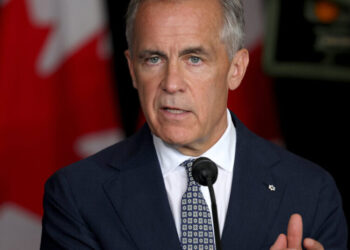 Carney Offers Fire Help to Ontario, but Canadian Government’s Role Is Limited