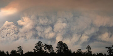 Fire in National Forest Pocked by Blazes Crosses Into Canada