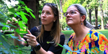 How a Seed in Space Became a Tree in Madison Square