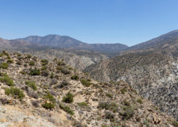 Remains of California Millionaire Who Vanished 45 Years Ago Are Identified