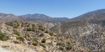 Remains of California Millionaire Who Vanished 45 Years Ago Are Identified