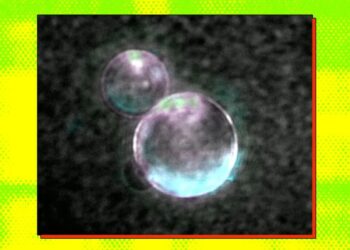 Scientists Build Fully Synthetic Life Form That Can Eat and Reproduce