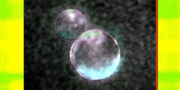 Scientists Build Fully Synthetic Life Form That Can Eat and Reproduce