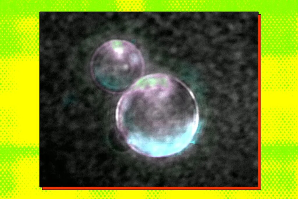 Scientists Build Fully Synthetic Life Form That Can Eat and Reproduce