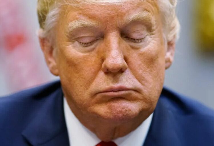 Trump’s 927-page disclosure is just a normal Tuesday for direct indexing and crypto wealth managers