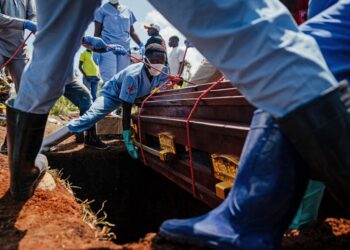 Ebola Returns: How We Can Fight Back