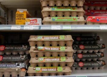 Egg companies made $1.22 billion in profit off a $6 carton — now they’re buying their way out of a price-fixing case with 53 million donated eggs