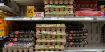 Egg companies made $1.22 billion in profit off a $6 carton — now they’re buying their way out of a price-fixing case with 53 million donated eggs