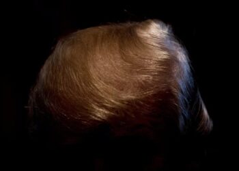 The Surprising Return of the Blockbuster Trump Book