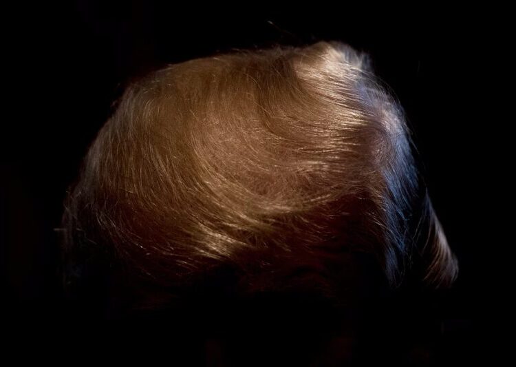 The Surprising Return of the Blockbuster Trump Book
