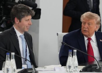 OpenAI Woos Trump Administration as Investor
