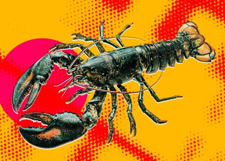 Biohackers Attempted Neurosurgery to Control a Lobster’s Nervous System and Give the Controls to OpenClaw, and How It Ended Will Tell You a Lot About the Ethics and Competence of AI Bros These Days