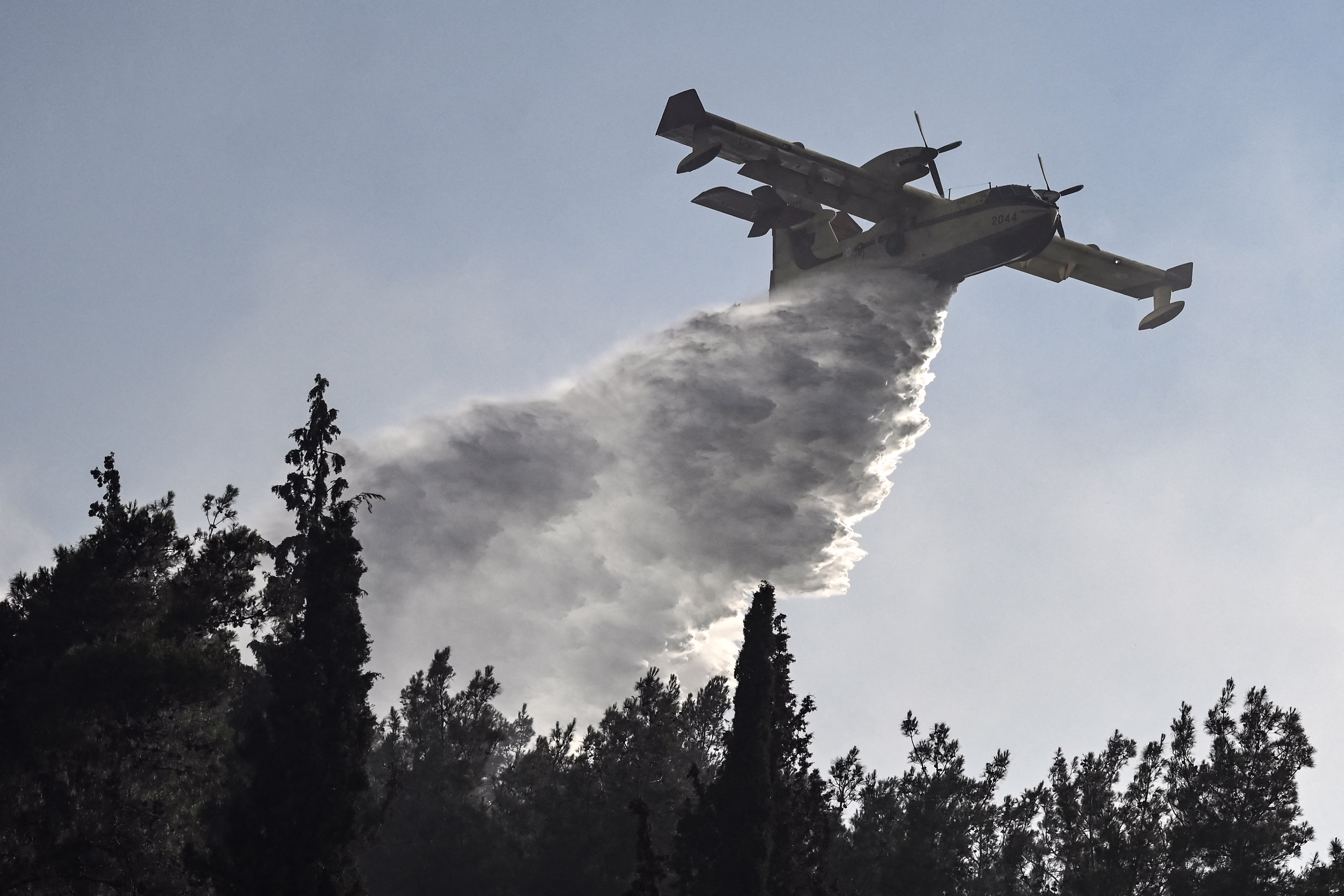 A firefighting aircraft drops a plume of water above treetops.