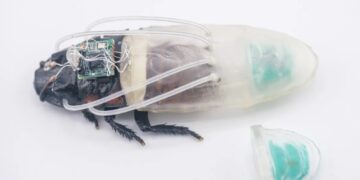 Swarm of Cyborg Remote Controlled Cockroaches Gains New Power