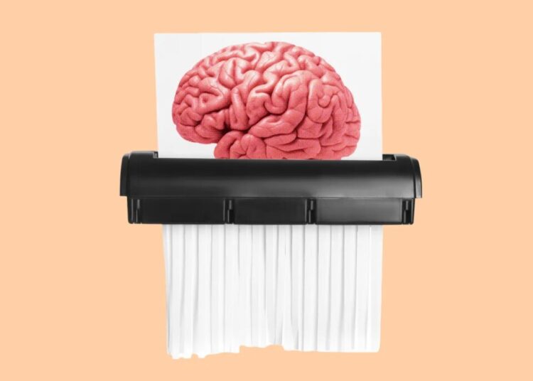 The Hectic Modern World Is Shredding Your Little Cave Man Brain, Scientists Confirm