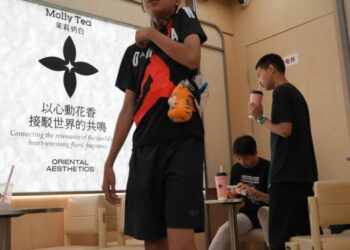 Chinese tea chain’s $1.5 million trademark infringement loss to Louis Vuitton sparks fight over who owns a flower pattern
