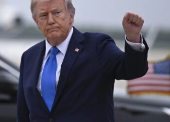 Close to a million investors of the Trump memecoin lost a collective $3.8 billion, even as the president disclosed $636 million in earnings
