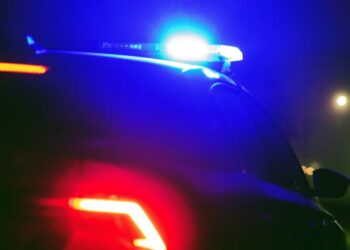 Flock Cameras Screw Up, Swarm Innocent Man With Armed Police