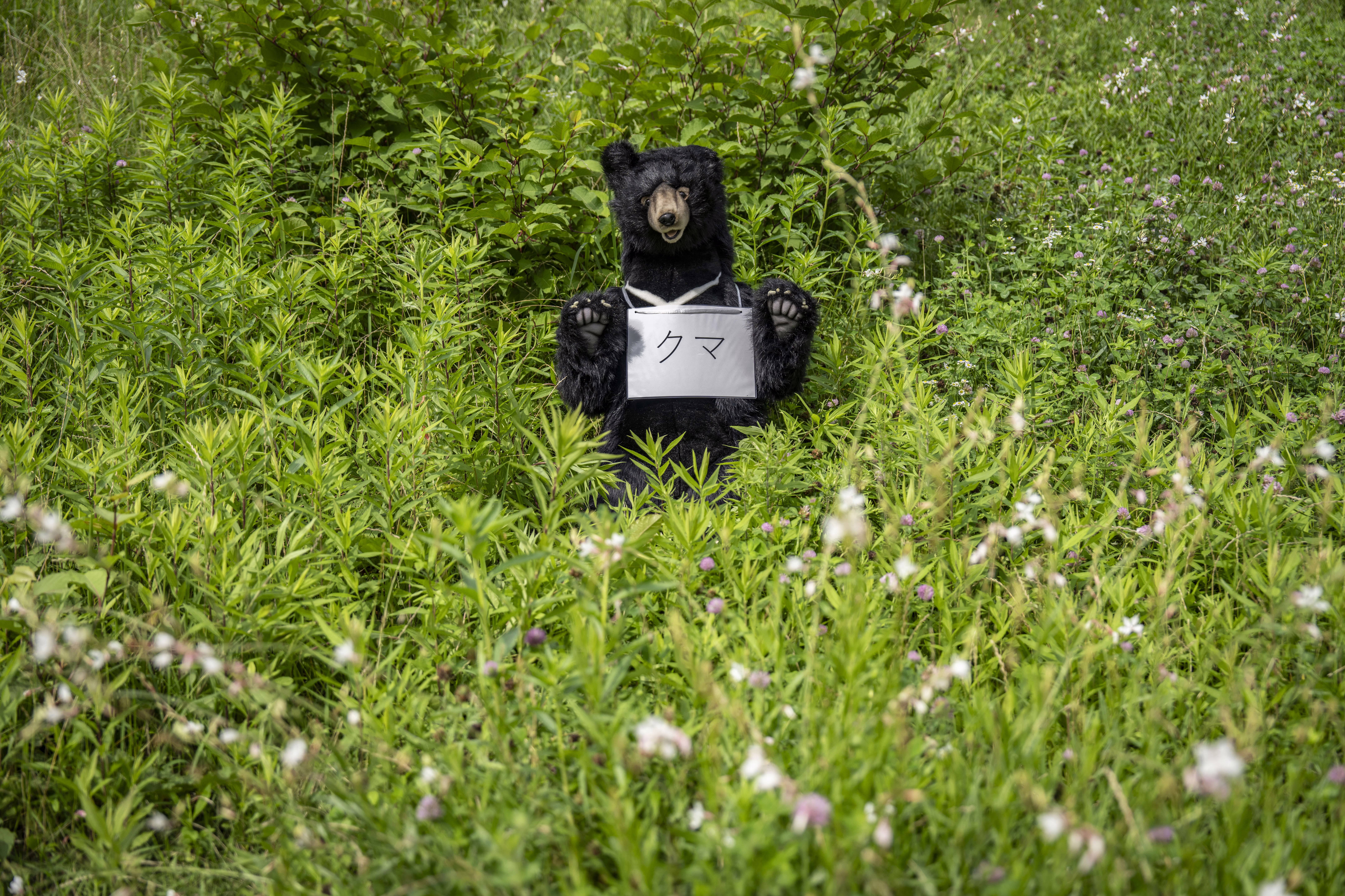 A stuffed bear, (wearing a sign that reads 'bear') stands in bushes.