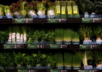 America’s Homegrown-Parasite Problem