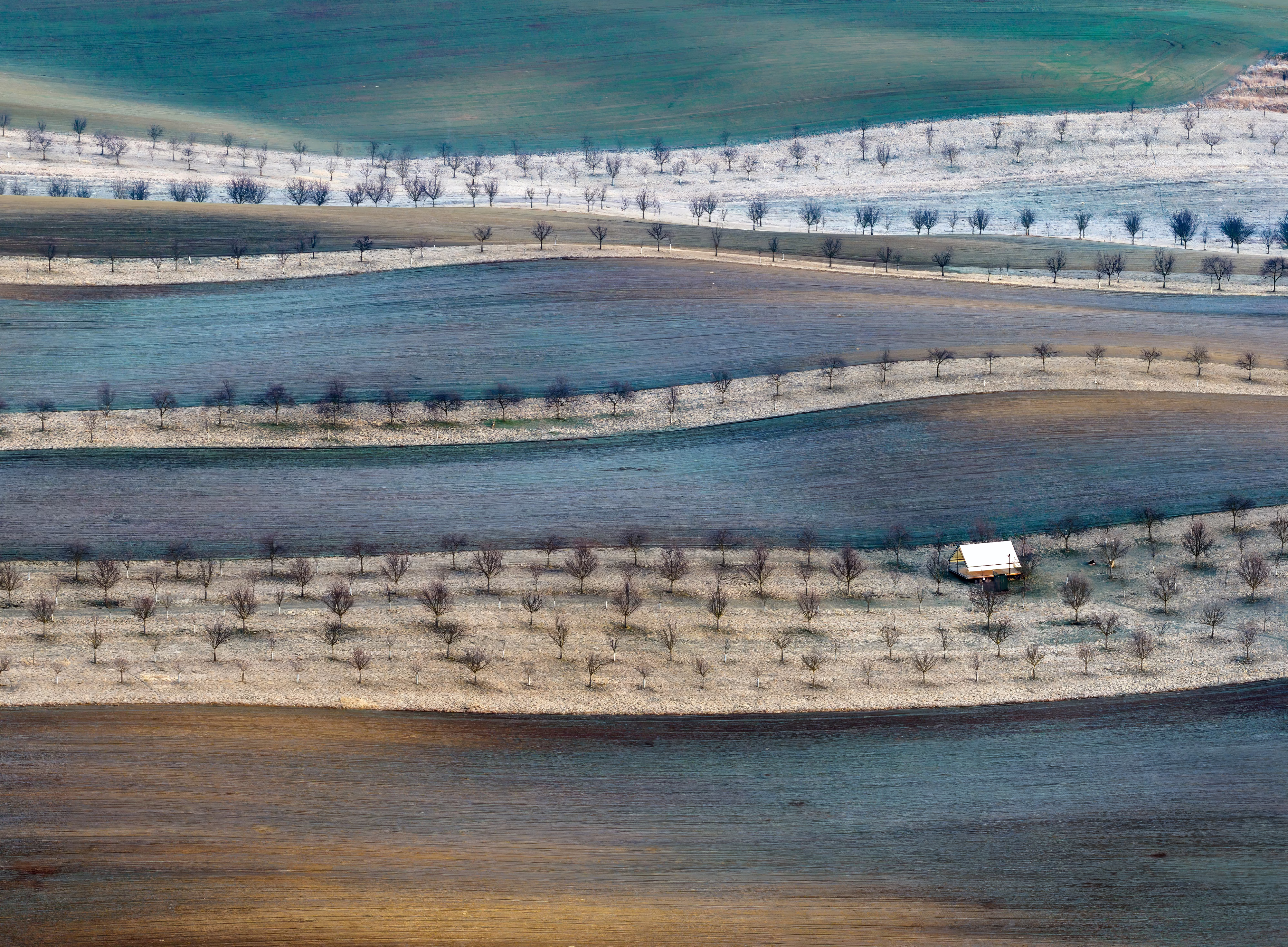 An aerial view of a vineyard, seen on a frosty morning.