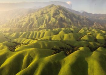 Winners of the International Aerial Photographer of the Year