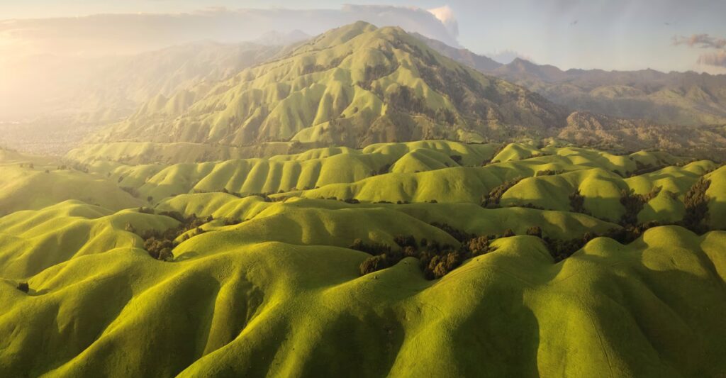 Winners of the International Aerial Photographer of the Year
