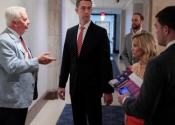 Right-wing hardliners eye ‘macabre’ moment to finish off GOP’s hawkish wing: report