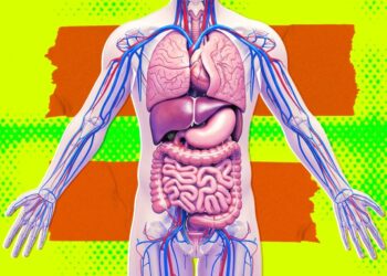 Secretive Silicon Valley Startup Tries to Quash Interview, Says It’s Definitely Not Working on Growing Brain-Free “Organ Sacks”