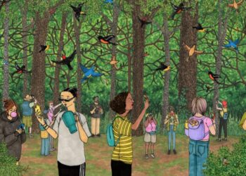 All the Cool Kids Are Birding