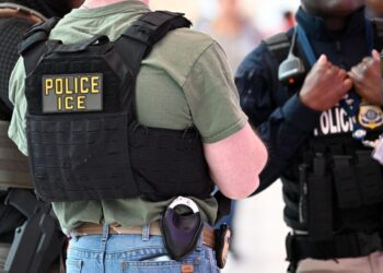 Trump Says ICE Is ‘Loved and Respected’ in America. Is That True?