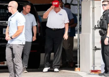 Exasperated NYT columnist fears Trump’s brain may be an ‘insurmountable’ problem