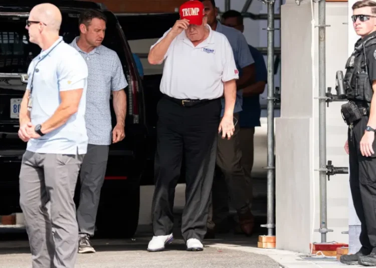 Exasperated NYT columnist fears Trump’s brain may be an ‘insurmountable’ problem