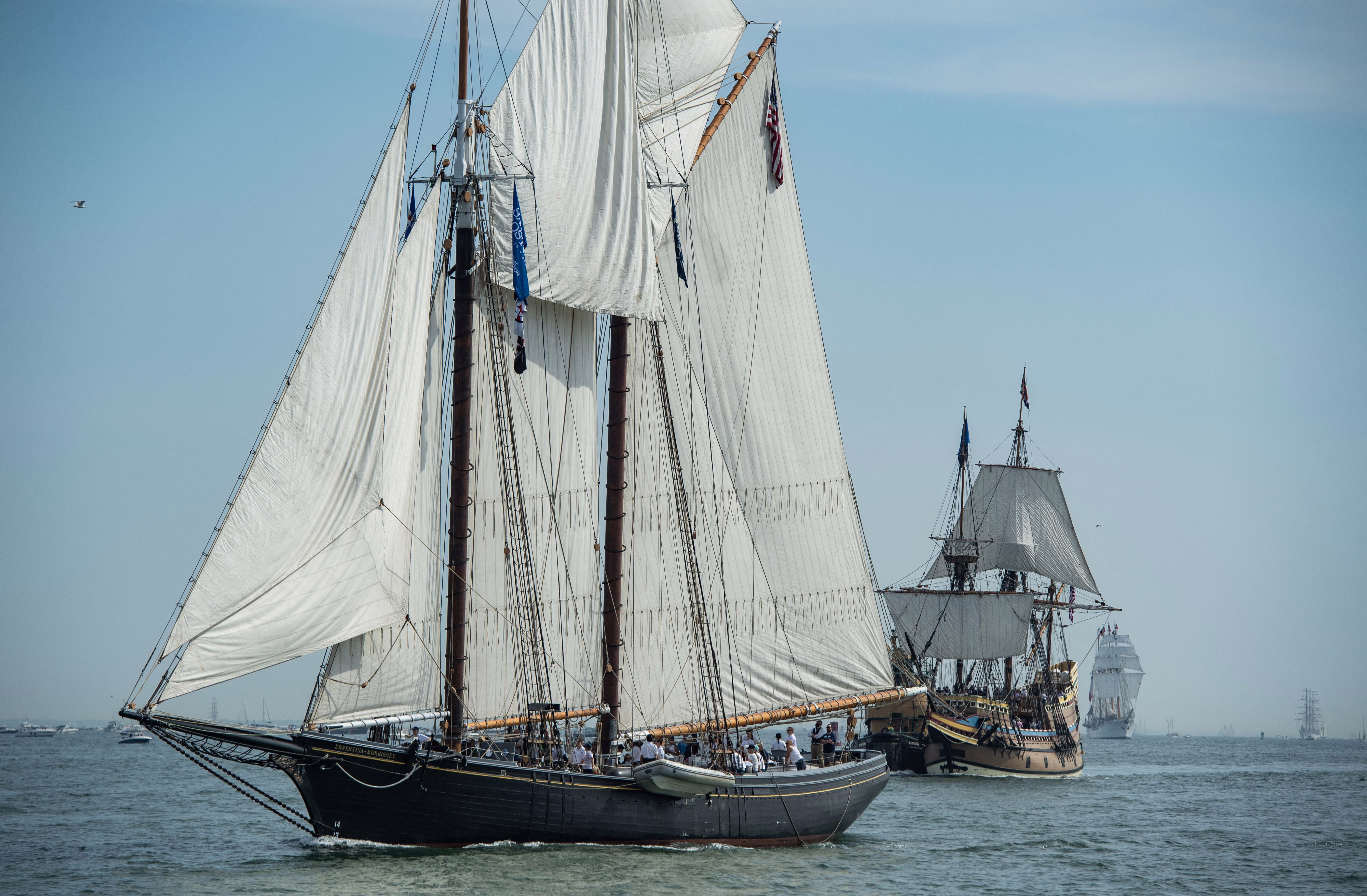 Several tall sailing ships sail toward a harbor in a long parade.
