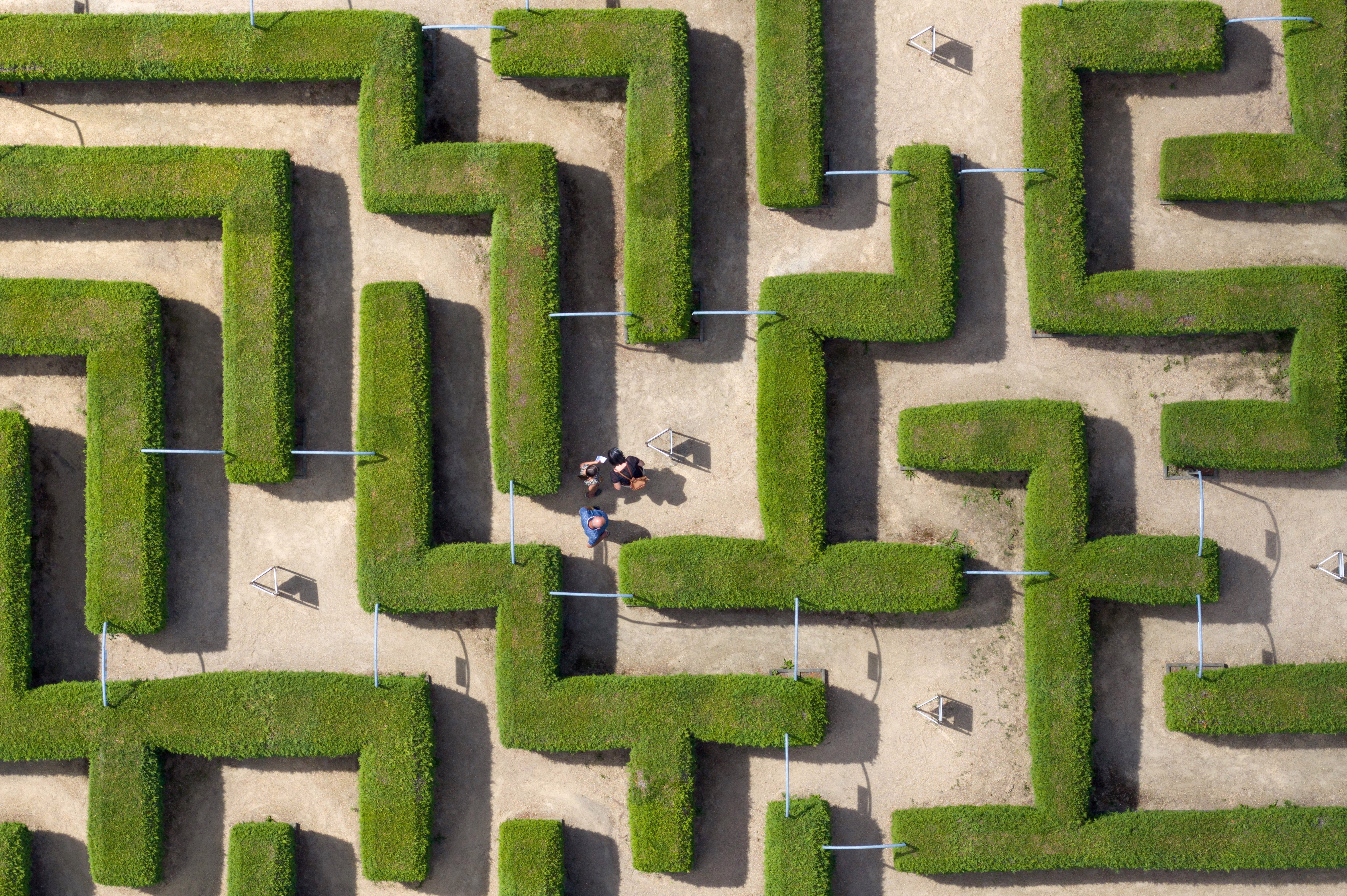 A drone's-eye-view of a hedge maze