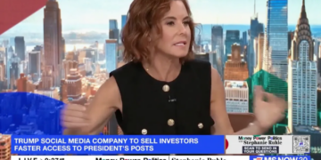 On-air shouting match explodes as TV guests clash on Trump cash grab: ‘Want to puke!’
