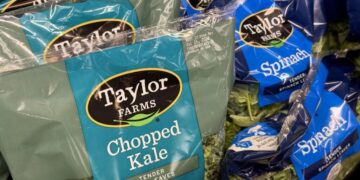 Walmart removes four Taylor Farms salads as recalls spread