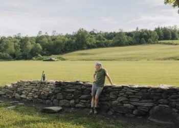 The Beauty of a Stone Wall