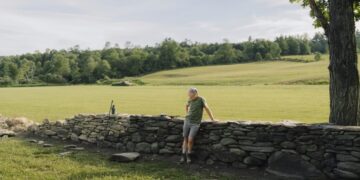 The Beauty of a Stone Wall