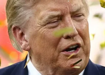Wall Street Journal chides Trump for trying to kill a story that did him ‘a favor’