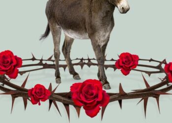 The DSA Is Only Using the Democratic Party