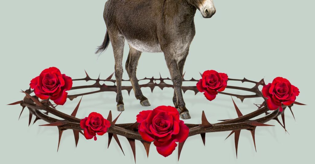 The DSA Is Only Using the Democratic Party