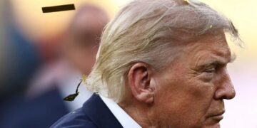 White House insiders deliver GOP stark midterm message: Trump literally ‘doesn’t care’