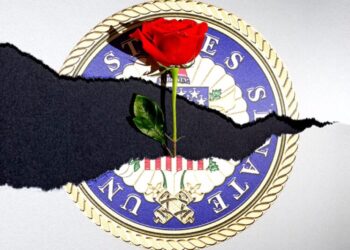 The DSA Isn’t Wrong About Everything