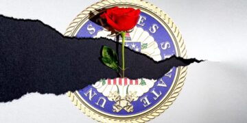 The DSA Isn’t Wrong About Everything