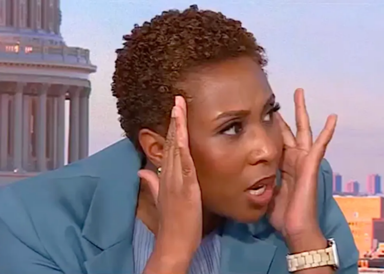 ‘Blech!’ CNN host audibly shudders  debating Mike Johnson’s take on D.C. dating