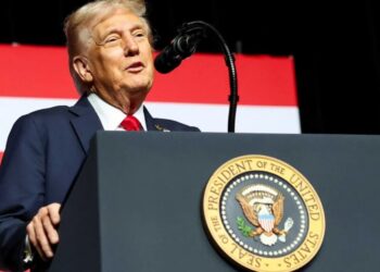 ​Trump likened to Disney princess by CNN analyst baffled by ‘bizarro world’ policy