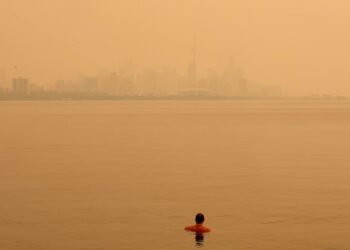 What Climate Fiction Should Accomplish