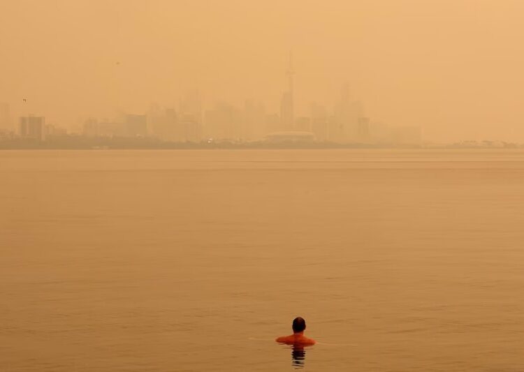 What Climate Fiction Should Accomplish