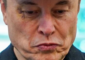 Elon Musk’s ‘honeymoon is over’ as investors wise up: report